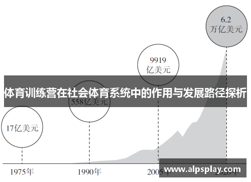 体育训练营在社会体育系统中的作用与发展路径探析